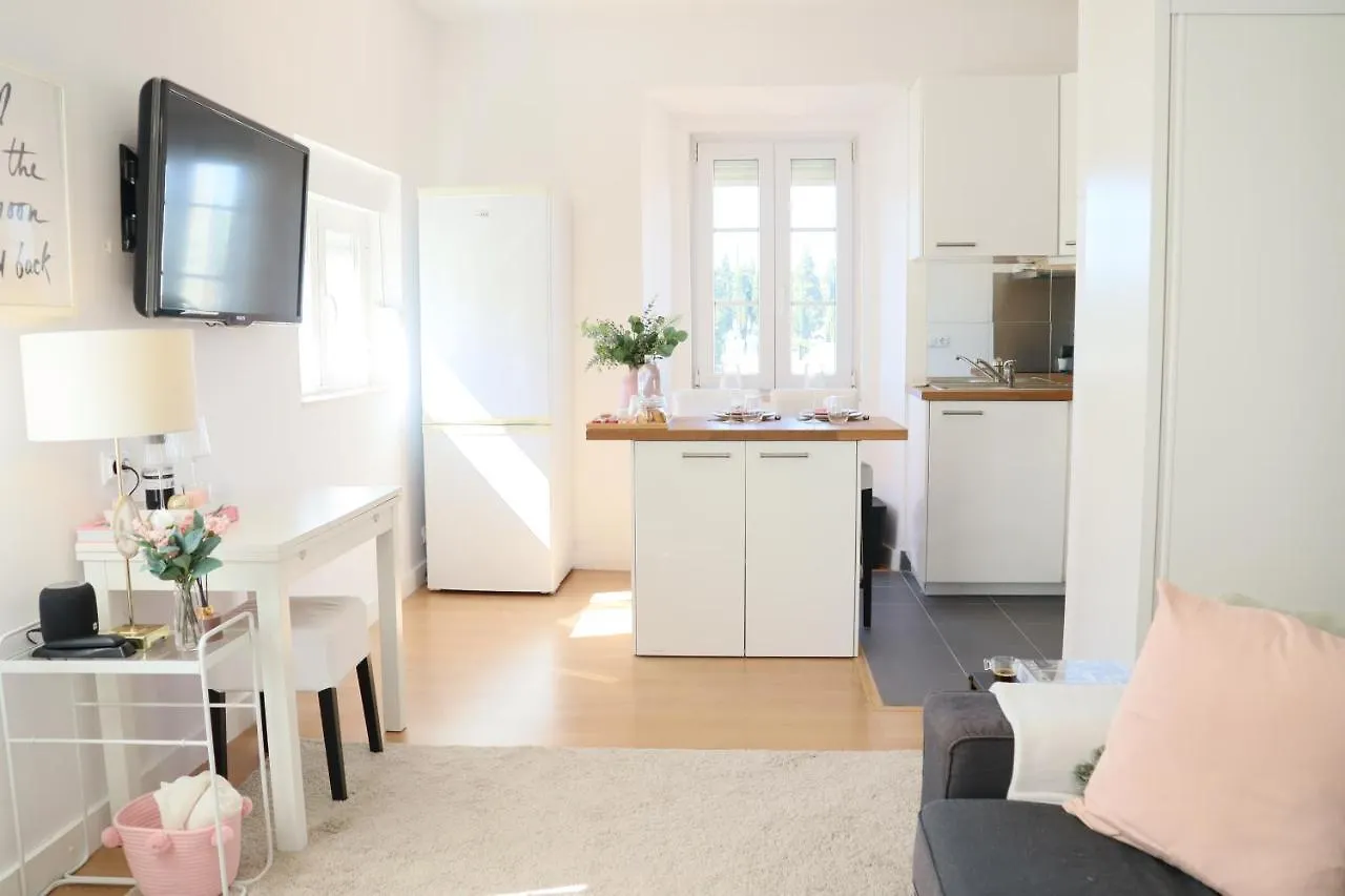Lisbon Center Lovely Studio Apartment